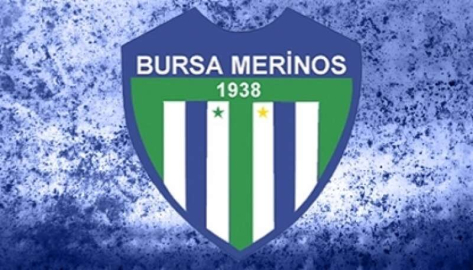 Merinos küllerinden doğuyor!