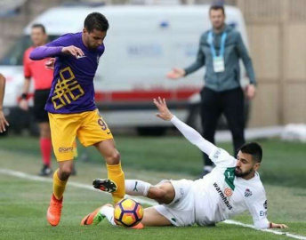 Hayırdır Cimşir!