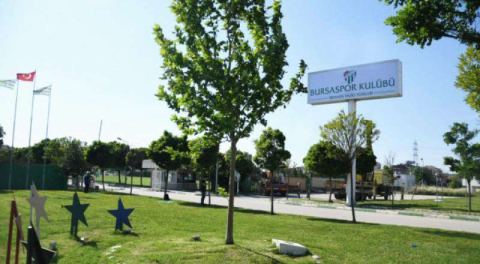 Timsah Özlüce'de topbaşı yapıyor