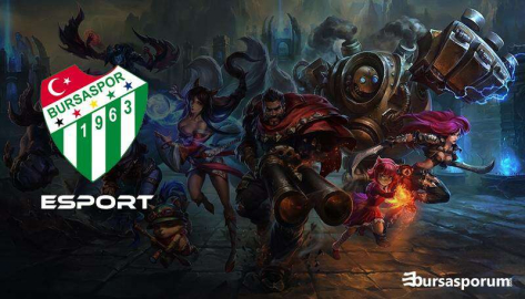 Timsah Vadiye dönüyor!