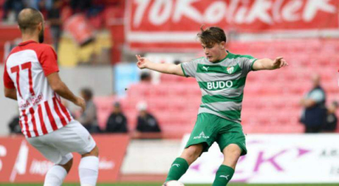 Ali Akman'a af çıktı