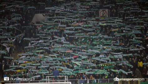 Timsah Arena'da sorun ne?