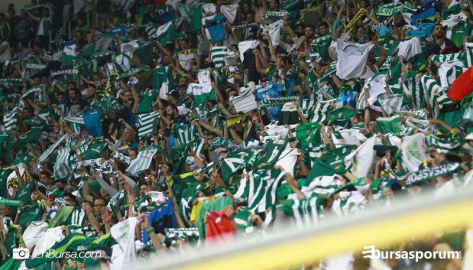 Timsah Arena'ya davet!