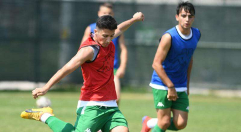 Timsah özgüven kazandı