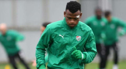 Shehu 11'de çıkacak