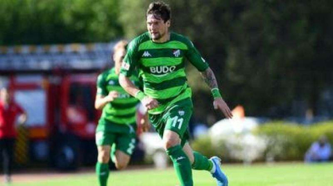 Haber vermeden ülkesine gitti