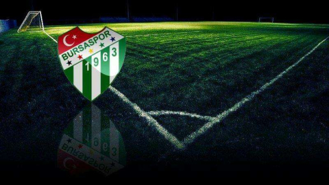 Timsah’a can verdiler
