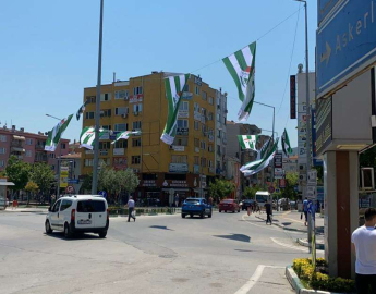 Gemlik yeşil-beyaza büründü