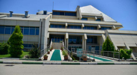 Tahta için 33 milyon TL