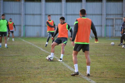 Timsah hücum çalıştı